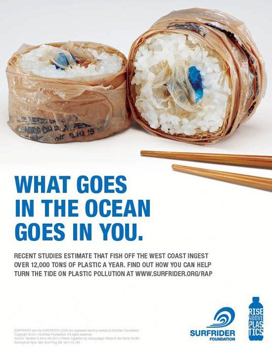save the ocean
